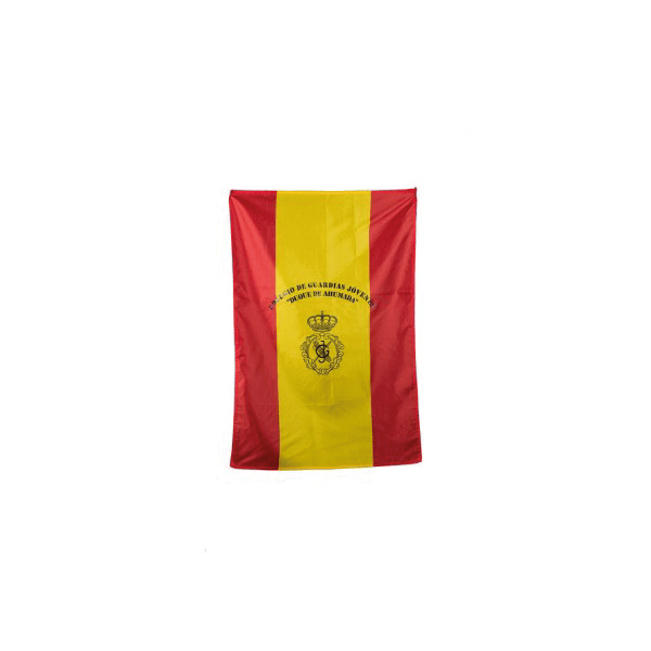Bandera Guardias Jóvenes