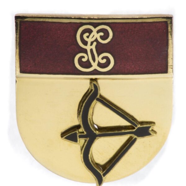 Distintivo Profesor de tiro