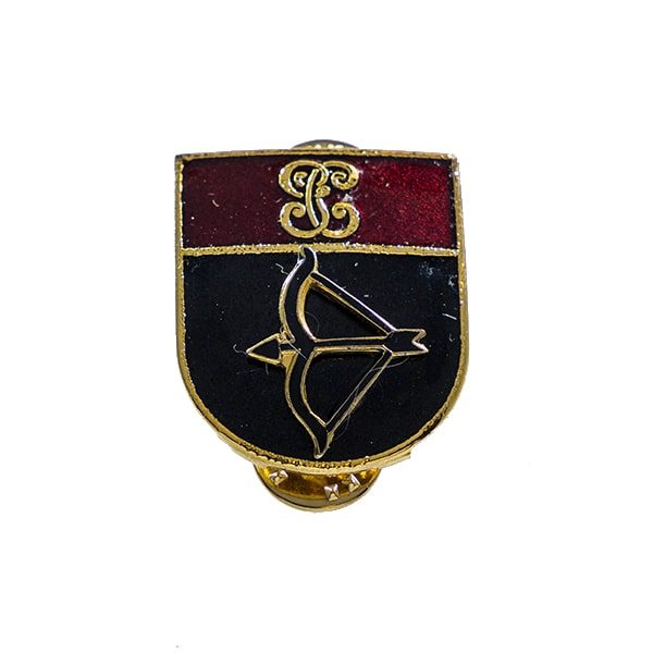 Distintivo Instructor Tiro