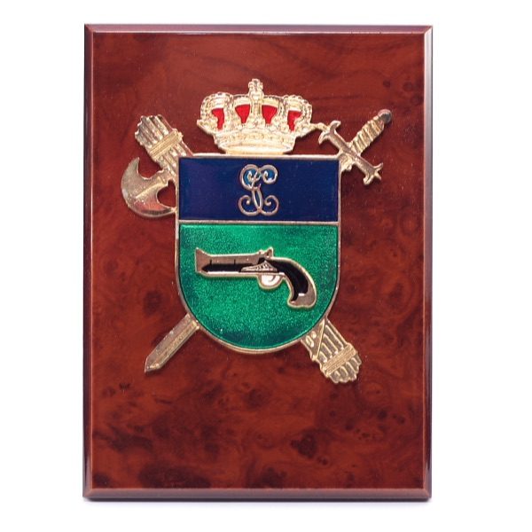 Minimetopa intervención de armas
