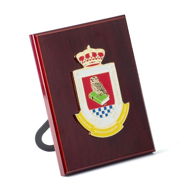Minimetopa Escuela Especialización